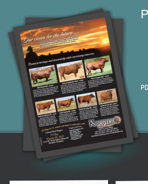 CowCamp Catalogs - Quality Catalogs for your next Cattle Production sale!