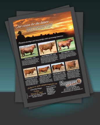 Sample of Cow Camp Flyers