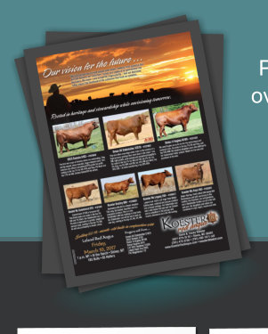 Sample of Cow Camp Flyers