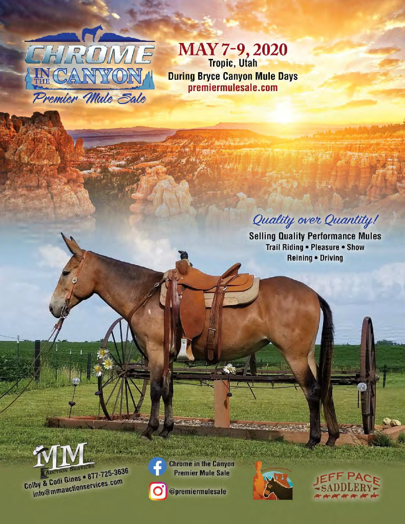 Chrome in the Canyon Mule Sale – May 7 